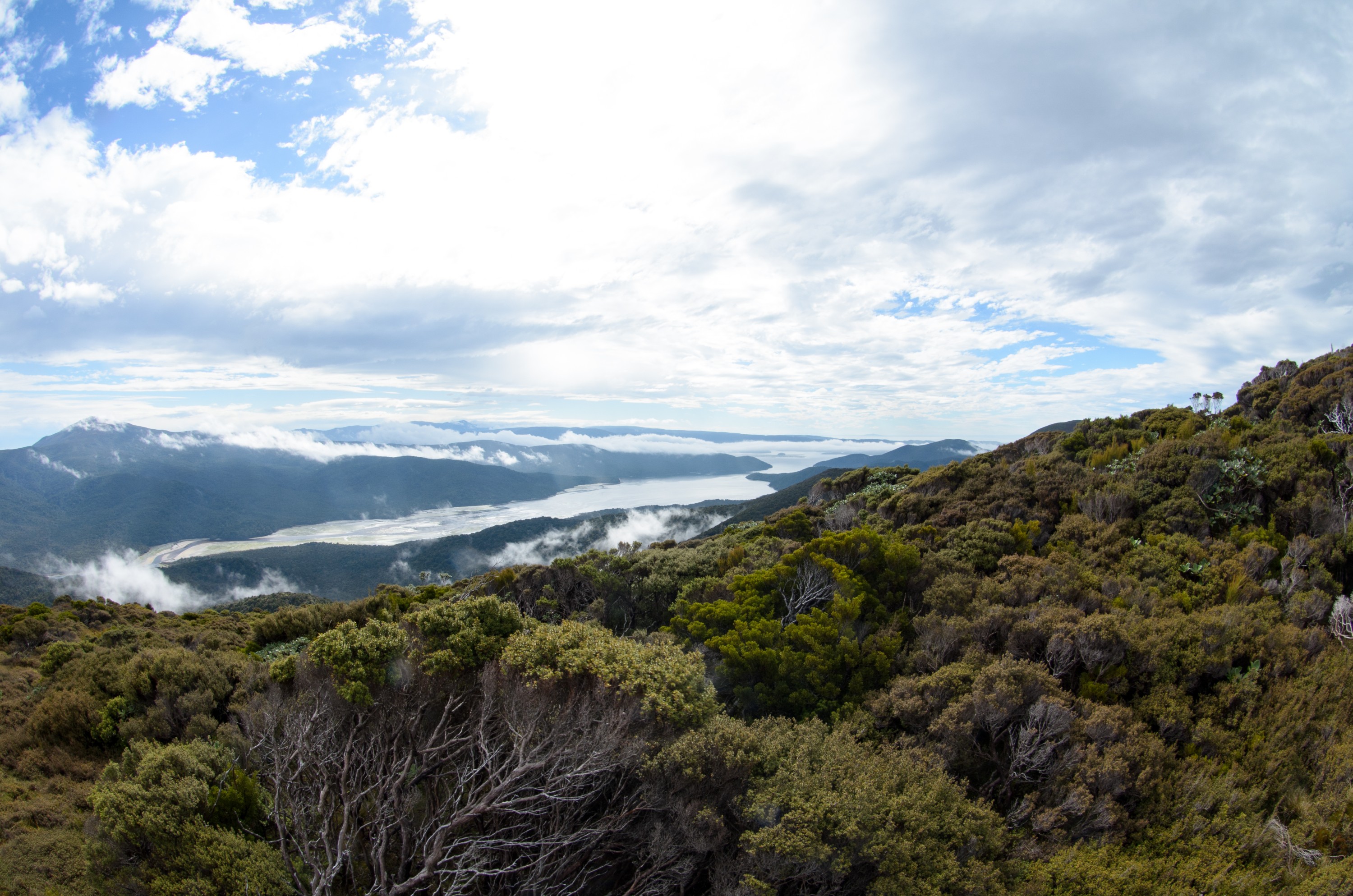 DSC_3076 – Adventure, Crispin, Island, March 2017, National Park, New, New Zealand, Rakiura, South, Stewart, Zealand